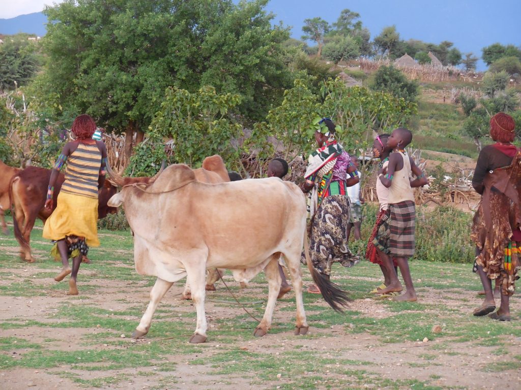 Alex Girma Ethiopian Travel