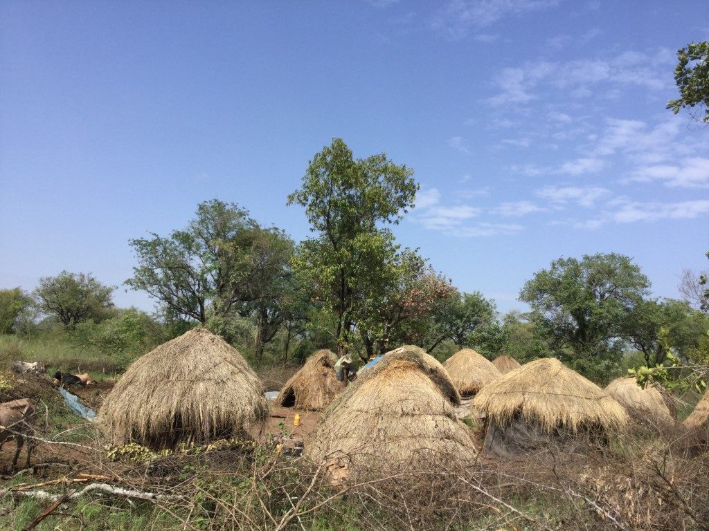 Alex Girma Ethiopian Travel